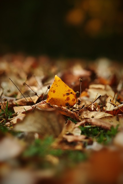 我永远感激 我永远感激