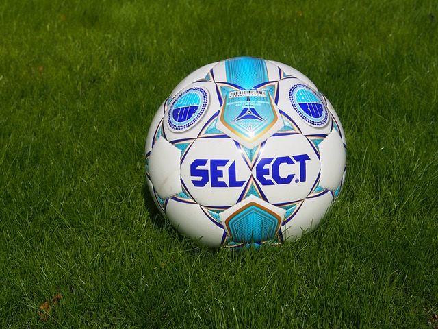 雪项目的热 雪项目的热