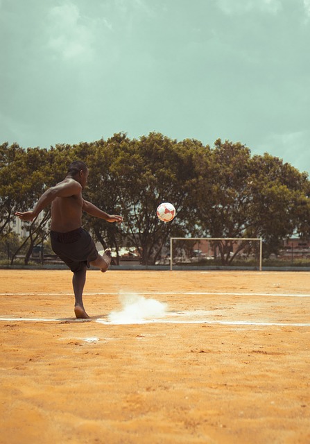 职业素养和 职业素养和