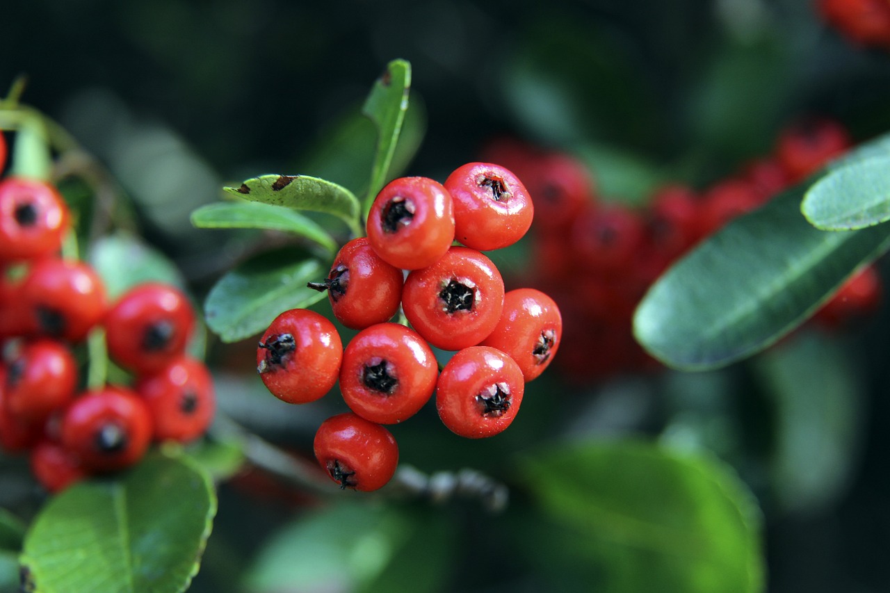 身体调养 身体调养