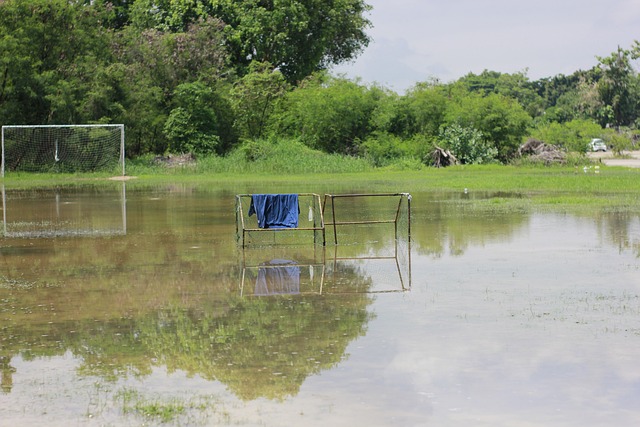 自步入职业 自步入职业