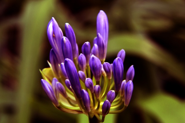 每位球员都 每位球员都