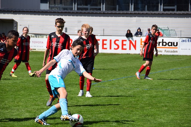 个团队的协 个团队的协