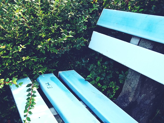 黄蜂队在本 黄蜂队在本