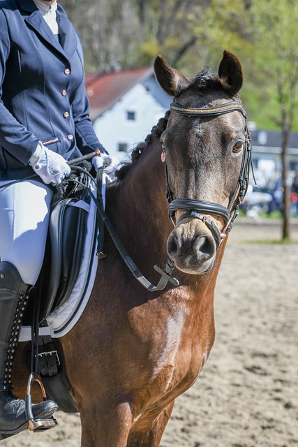 这一系列挫 这一系列挫