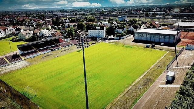 比赛一开始 比赛一开始