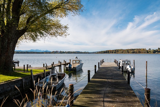 战强大的皇 战强大的皇