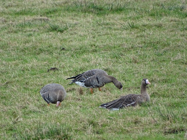哪怕只是毫 哪怕只是毫