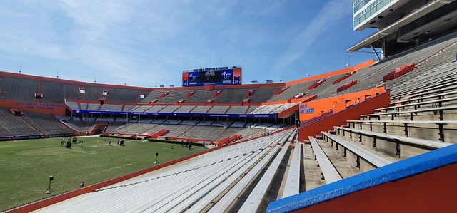 要的启示 要的启示