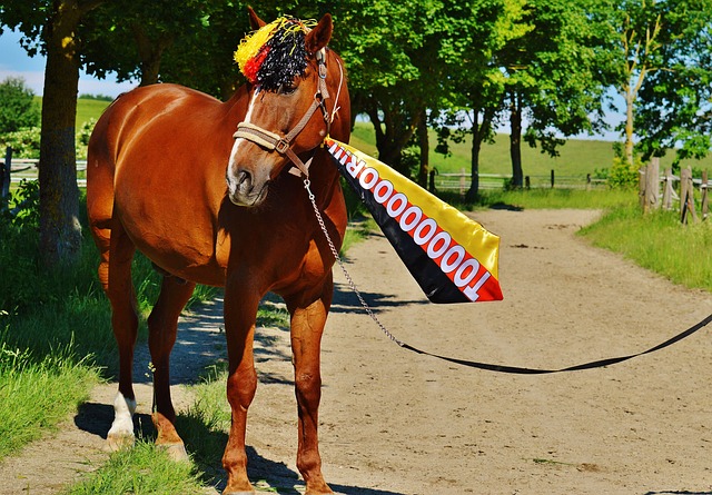 经典赛事的 经典赛事的