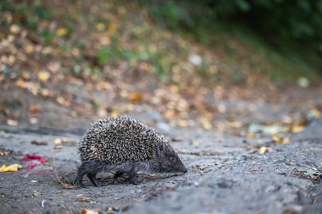 无薪休假 无薪休假