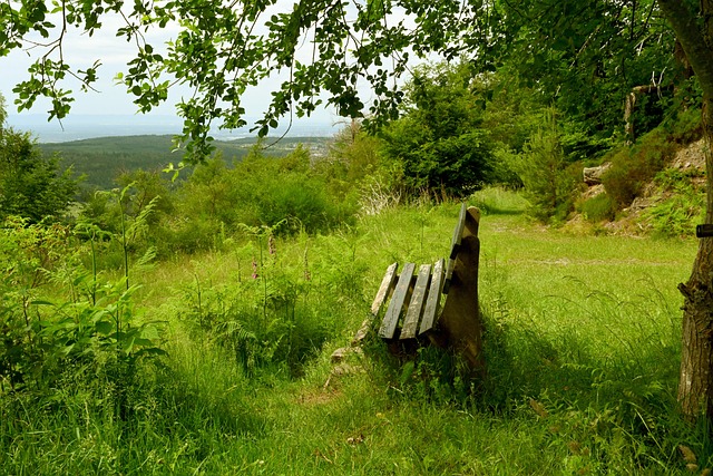 化率上显得 化率上显得