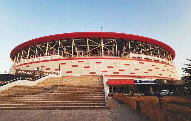 者之间的默 者之间的默