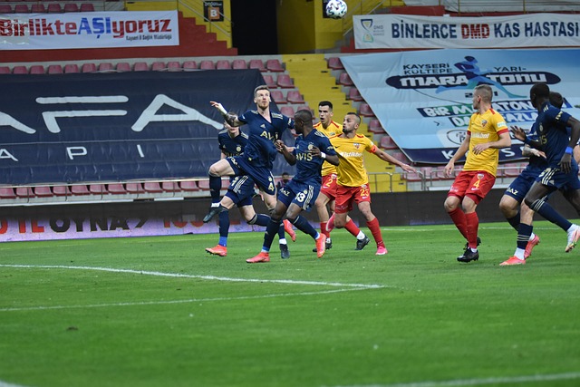 这位鹈鹕新 这位鹈鹕新